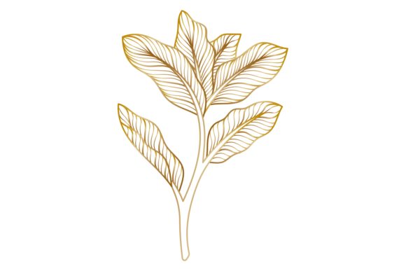 Golden Line Botany: The Timeless Appeal of Decorative Floral Vintage Elements in Modern Design