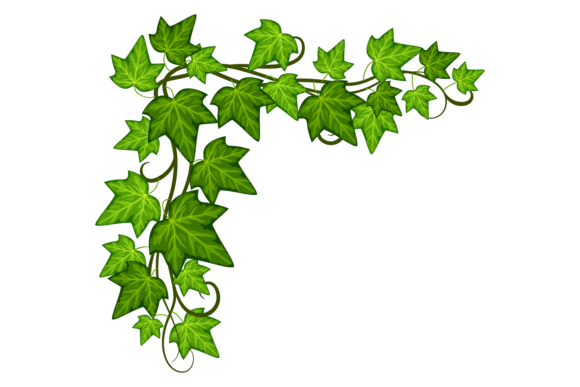 Ivy Corner Decorative Green Leaves Frame