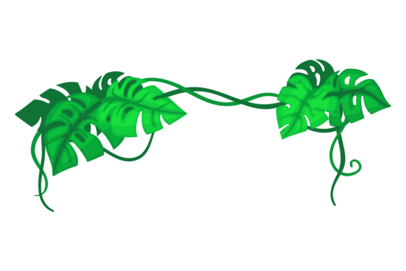 Monstera Leaves Decorative Border. Carto: A Versatile Design Element for Creative and Commercial Use