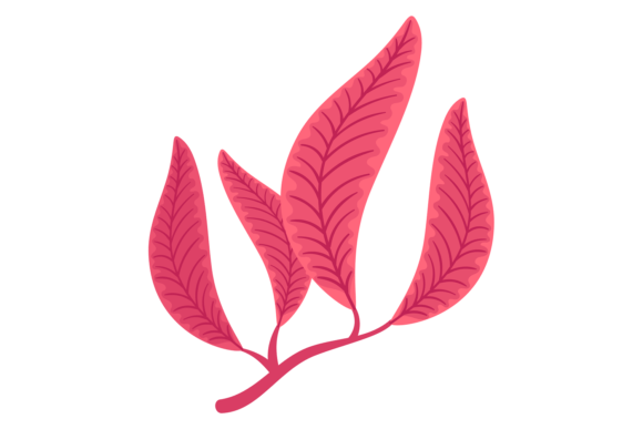 Red Leaves Branch in Decorative Botany: A Versatile Design Element