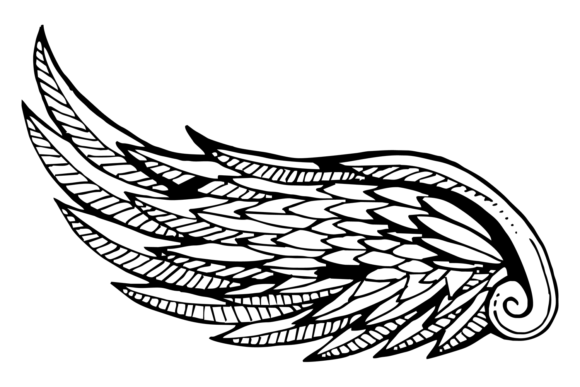 Wing Sketch. Decorative Ornate Bird Feat: A Modern Design Element with Timeless Appeal